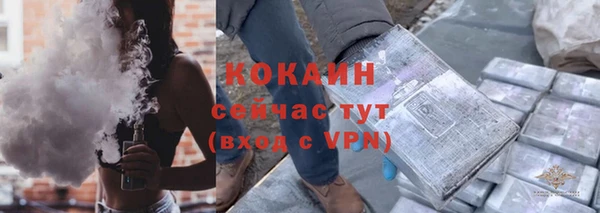 СК Алексин