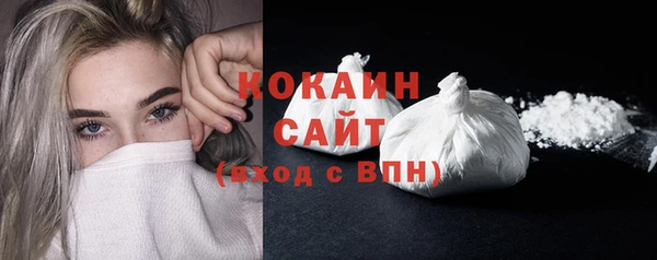 СК Алексин