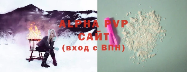 СК Алексин