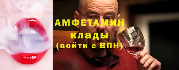 СК Алексин