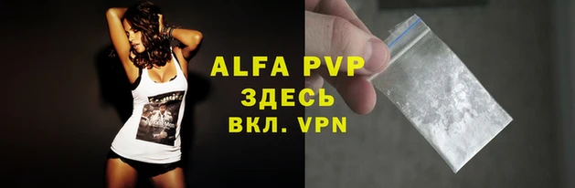СК Алексин